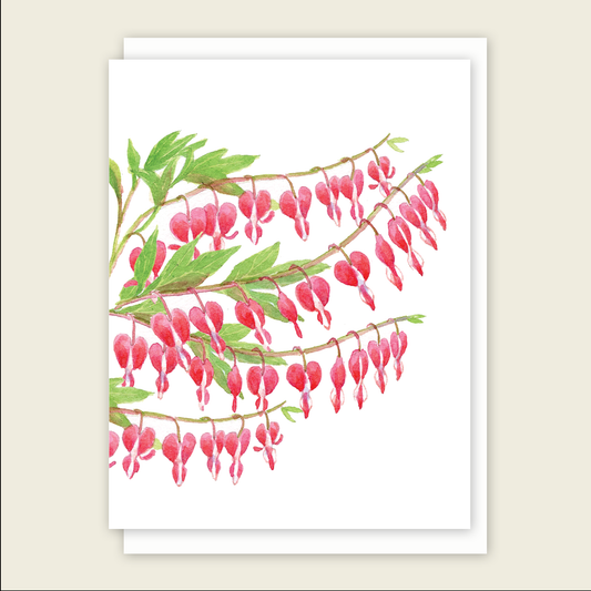 Bleeding Heart Mini Card