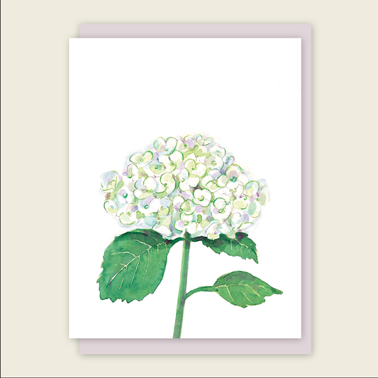 Hydrangea Mini Card