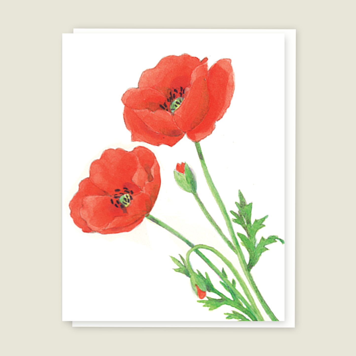 Poppy Blank Card