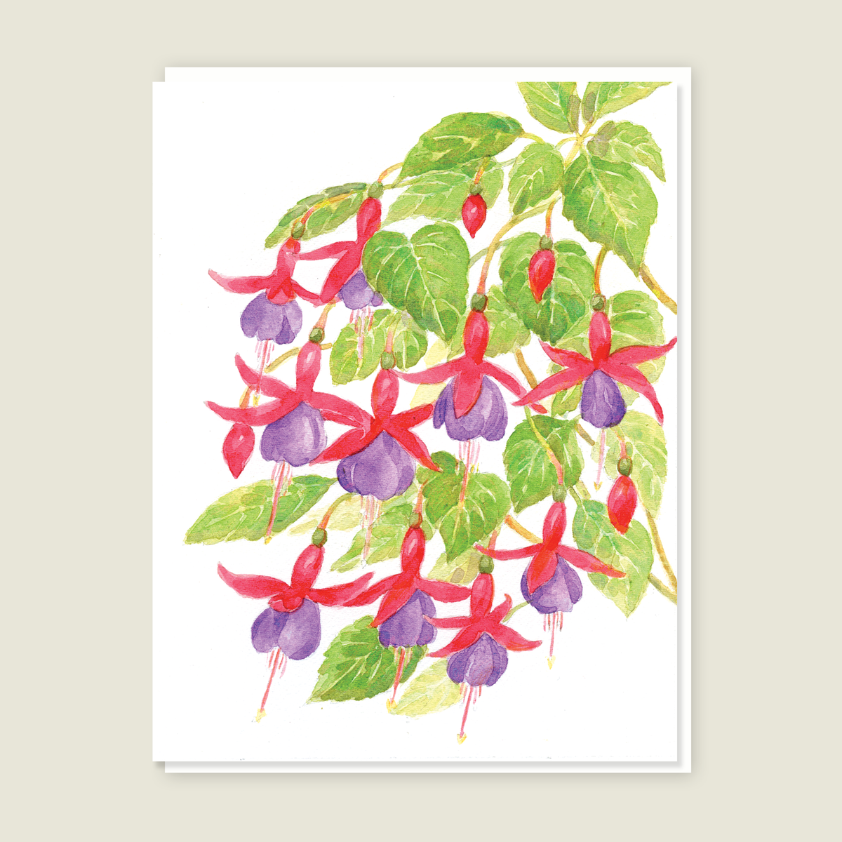Fuchsia Blank Card