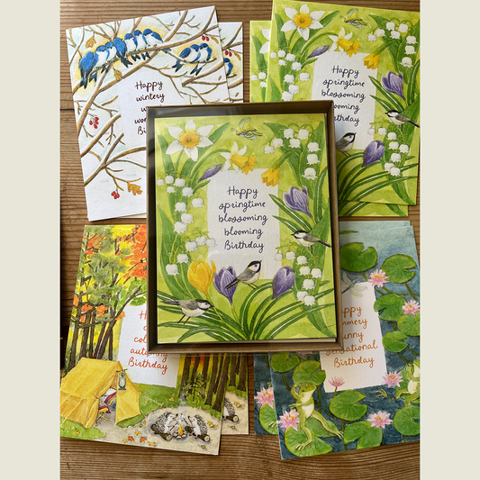 Assorted Seasonal Birthday Boxed Set