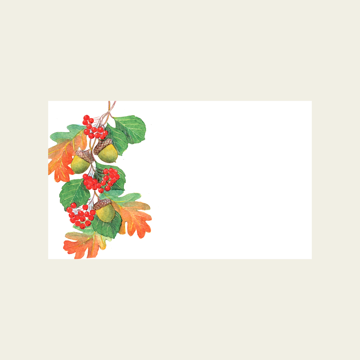 Elsabelle Wee Note Cards-Holiday Acorns