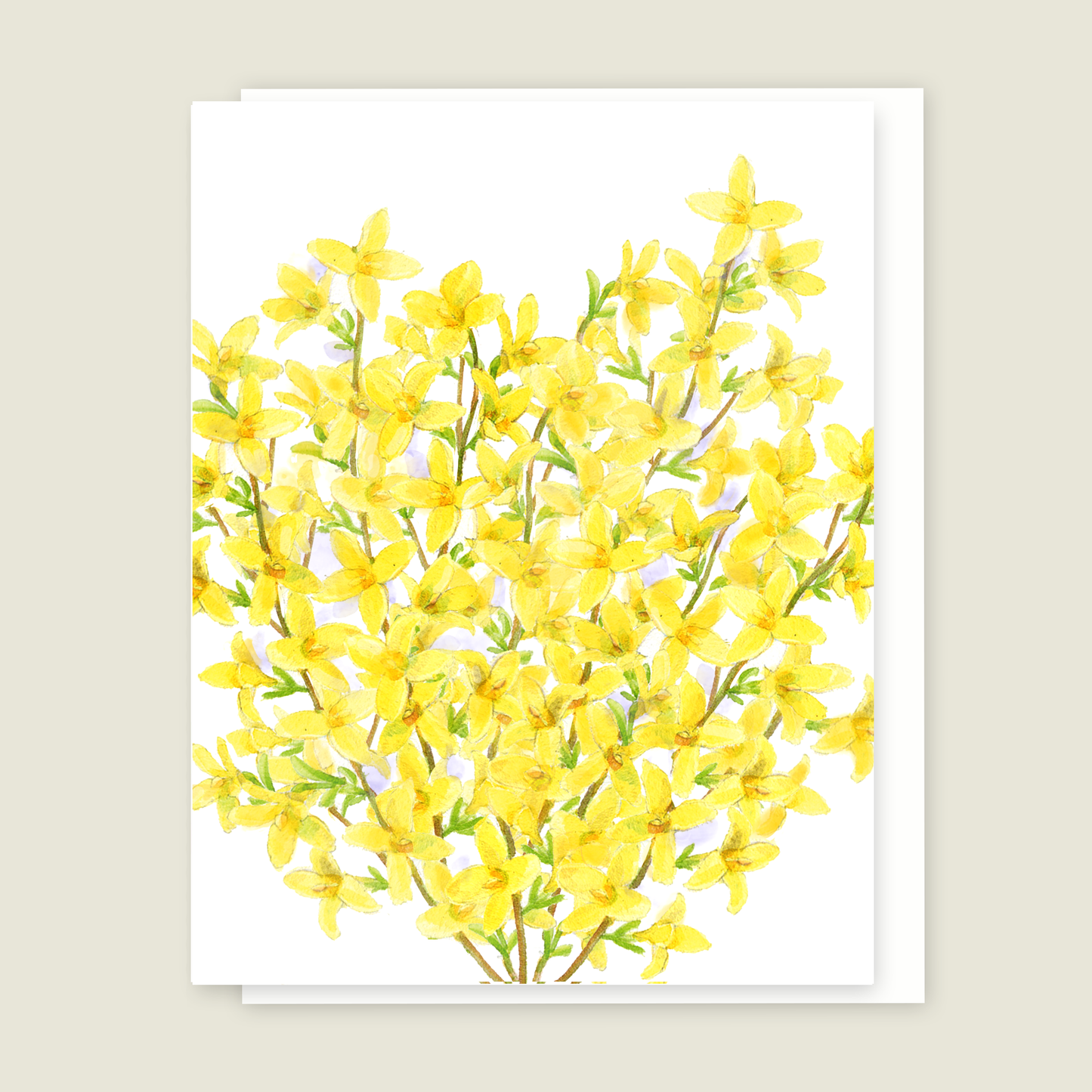 Forsythia Blank card