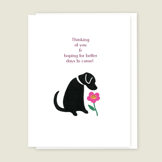 Labrador Thinking of You card